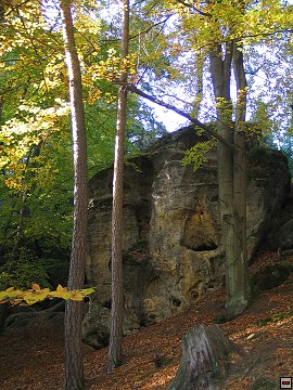 img00004.jpg